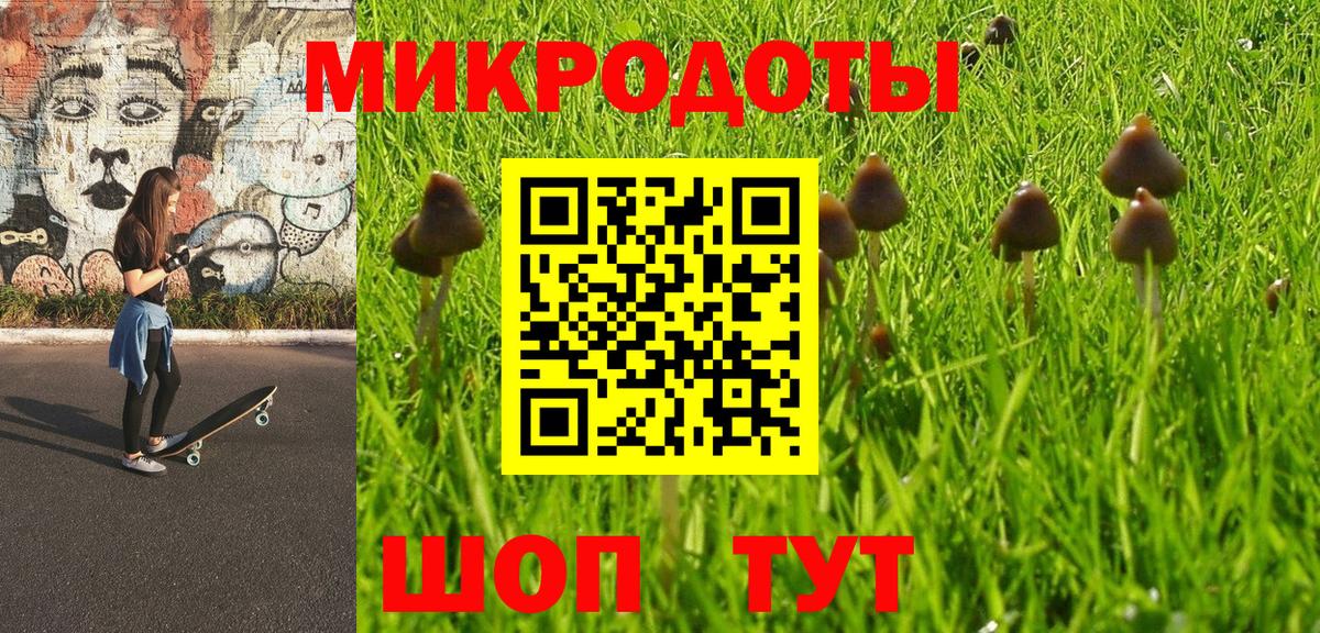 Псилоцибиновые грибы Magic Shrooms  Галлюциногенные грибы Cubensis  Чехов  Вход с VPN 